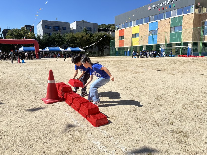 4f139f51e6ab68896656083d92966da1_1730870736_1982.jpg